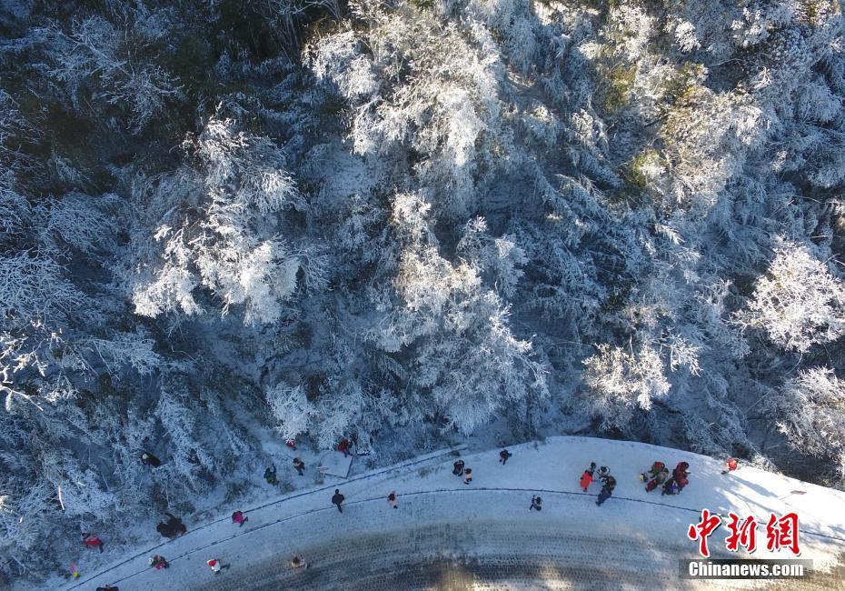 12月20日，重慶金佛山銀裝素裹雪景美如畫，吸引了不少游客前來觀賞。當(dāng)日，第19屆金佛山冰雪節(jié)正式開幕。 陳超 攝