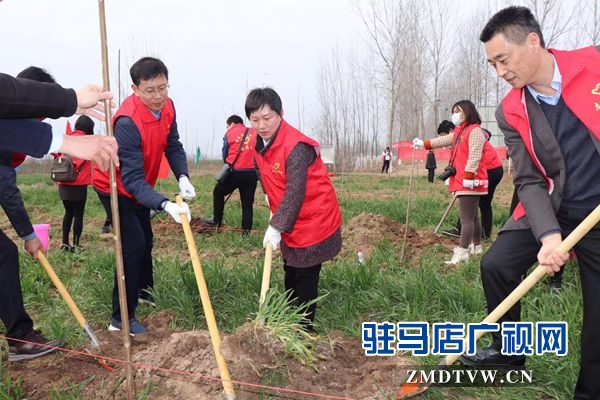 團市委開展“綠風尚”春季義務(wù)植樹活動