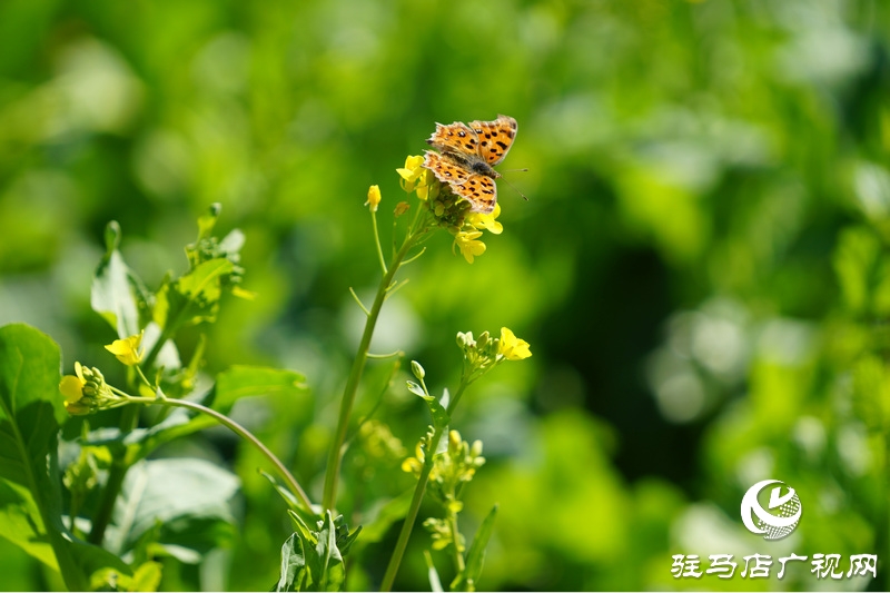 我們堅守，為了早日重逢