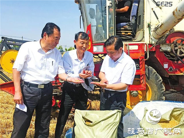 河南駐研種業(yè)開展育種基地田間檢驗