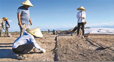 遺址格局逐步清晰，歷史文化內(nèi)涵日益豐富  北庭故城考古發(fā)現(xiàn)不斷深入