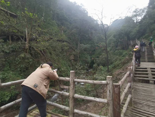 峨眉山猴子被拘留？假的！峨眉山猴子是國家二級保護動物