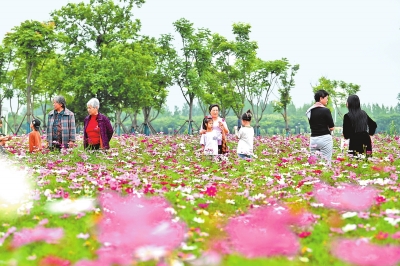 新時(shí)代 新征程 新偉業(yè)丨國際花園城市競賽，信陽憑啥“蟾宮折桂”