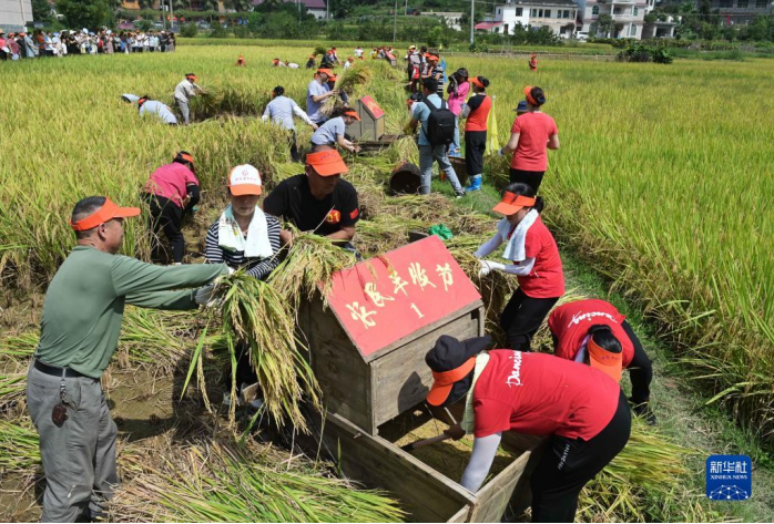 中國(guó)農(nóng)民豐收節(jié)｜古詩(shī)詞里的豐收之韻