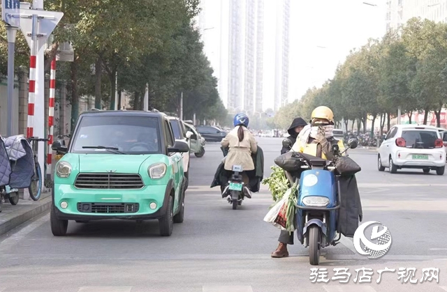 馬路“低頭族”  安全隱患多