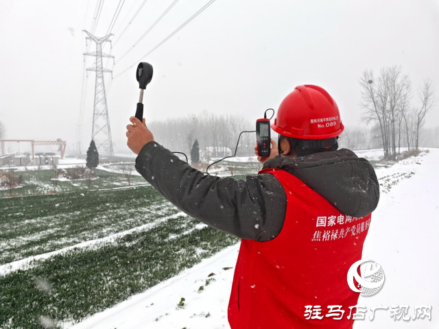 國網(wǎng)平輿縣供電公司：踏雪破冰護電網(wǎng)  寒潮逆行保民生