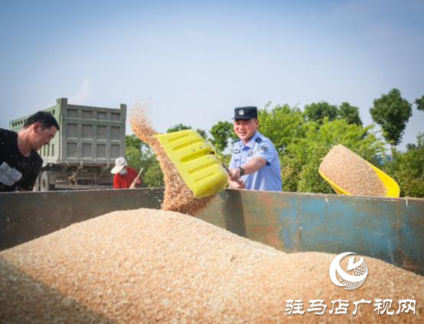 民警全力護航“三夏”麥收