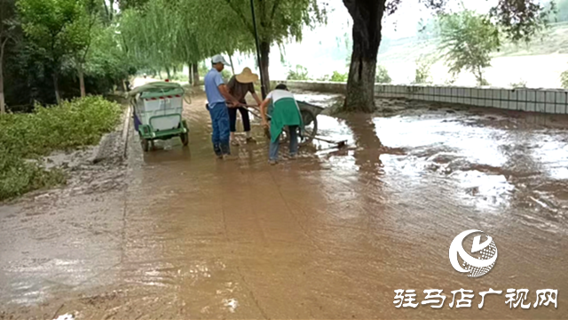 遂平縣園林綠化中心：扎實開展防汛清淤 營造良好休閑環(huán)境