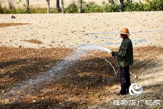 遂平縣：實施節(jié)水灌溉 全力補水保苗