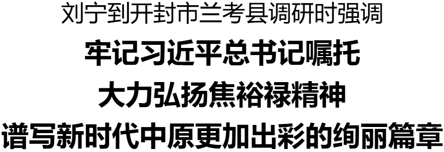 劉寧到開封市蘭考縣調研