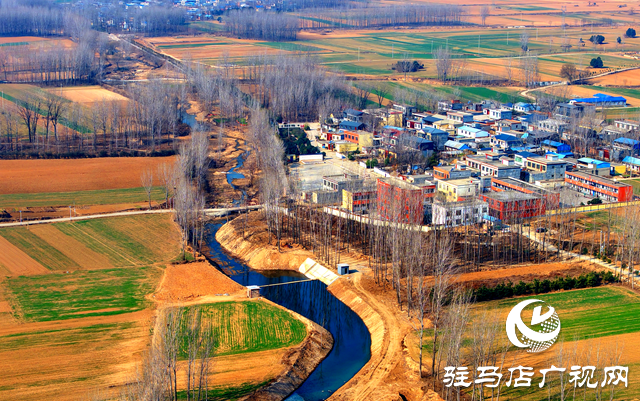 泌陽(yáng)縣黃山口鄉(xiāng)：走穩(wěn)小麥“田管棋”，繪就夏收好“豐”景