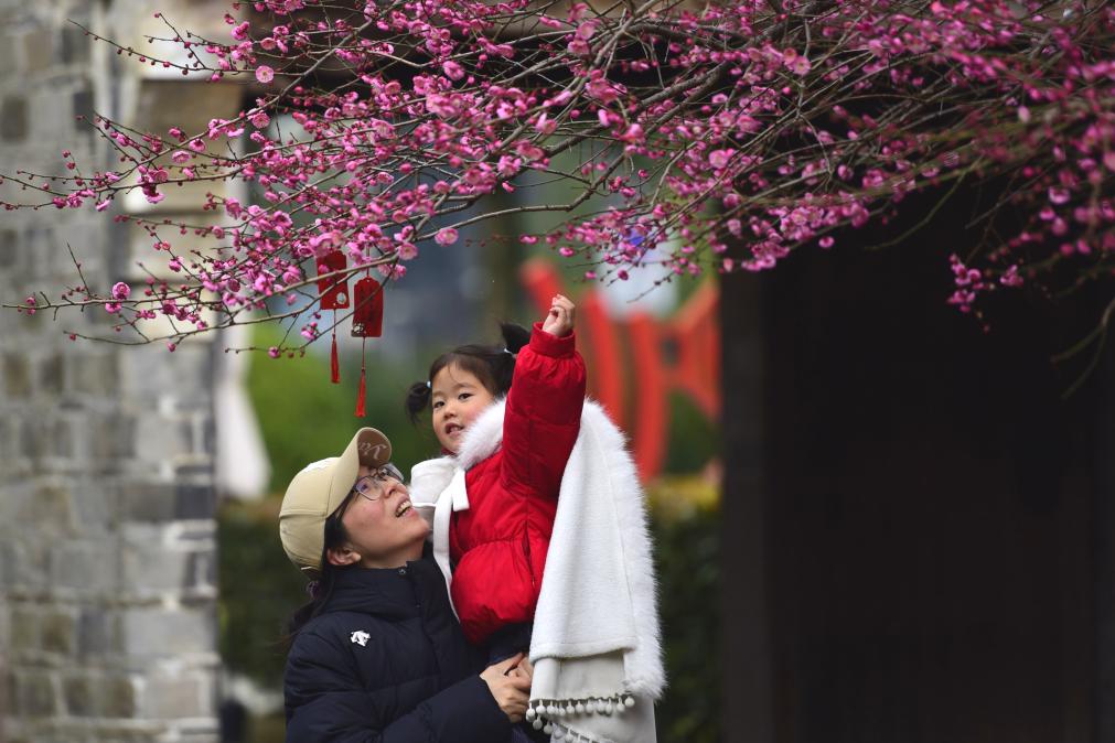 早春中國(guó)遇芳菲