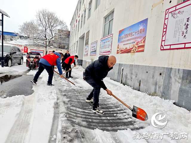 平輿縣李屯鎮(zhèn)：除雪行動暖人心 志愿服務(wù)展風采