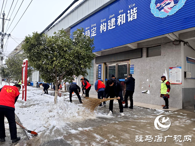 平輿縣李屯鎮(zhèn)：除雪行動暖人心 志愿服務(wù)展風采