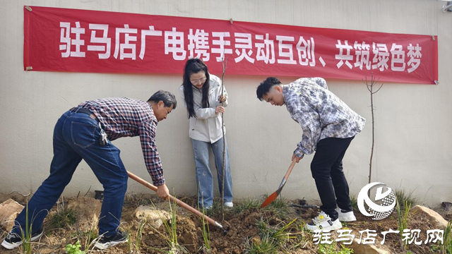 駐馬店廣播電視臺(tái)聯(lián)合企業(yè)開展植樹活動(dòng)