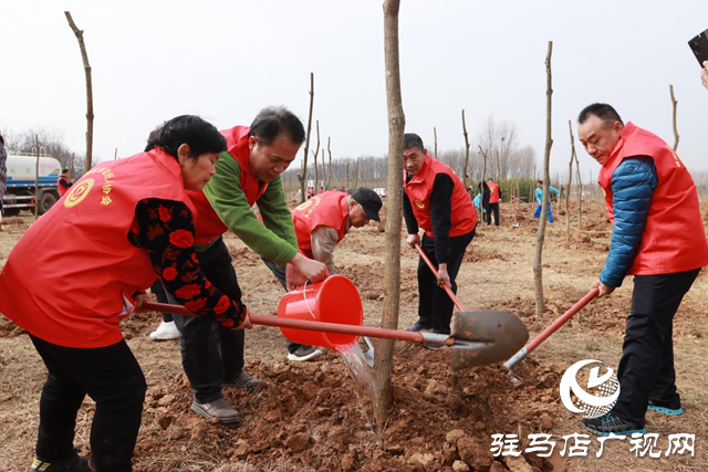 驛城區(qū)身邊好人協(xié)會組織開展義務(wù)植樹活動