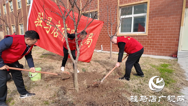 駐馬店市財政局：播撒綠色希望 情暖養(yǎng)老中心