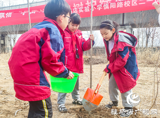 駐馬店實驗小學開展學雷鋒志愿植樹活動