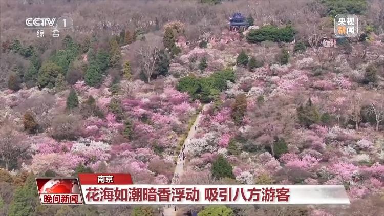 春天就是要看花花花花花，熱門春游目的地藏在這里