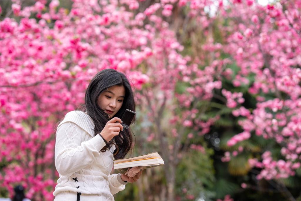 接下來(lái)這半個(gè)多月，這些地方會(huì)很美！