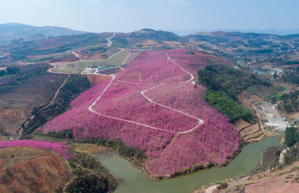 接下來(lái)這半個(gè)多月，這些地方會(huì)很美！