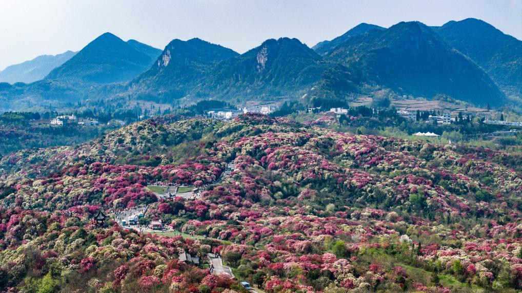 接下來(lái)這半個(gè)多月，這些地方會(huì)很美！