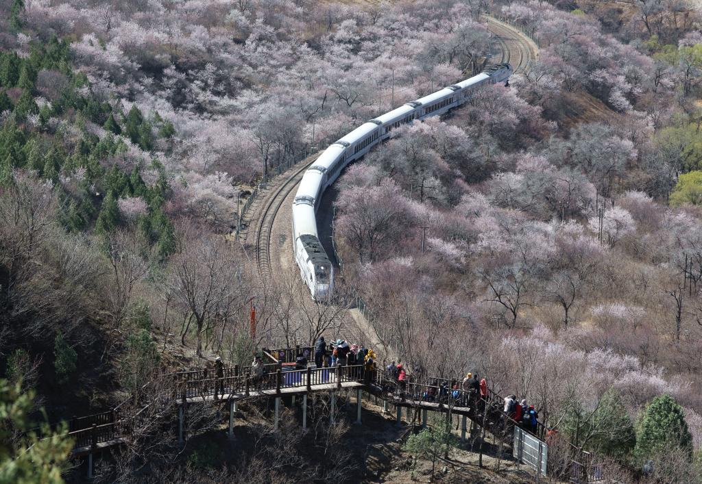 接下來(lái)這半個(gè)多月，這些地方會(huì)很美！