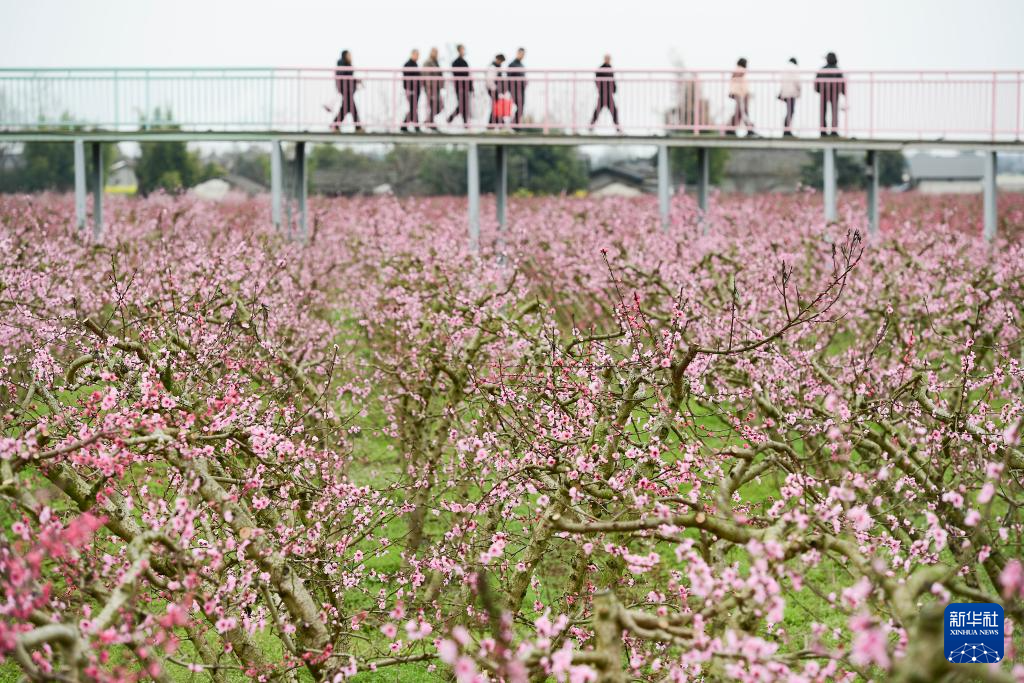 春日尋芳