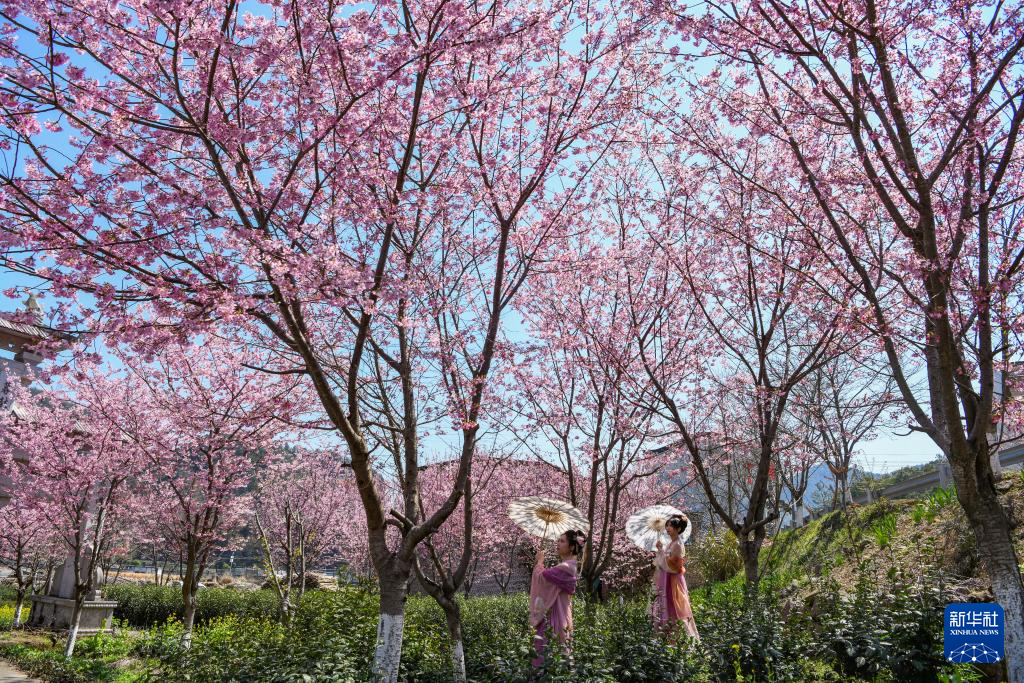 春日尋芳