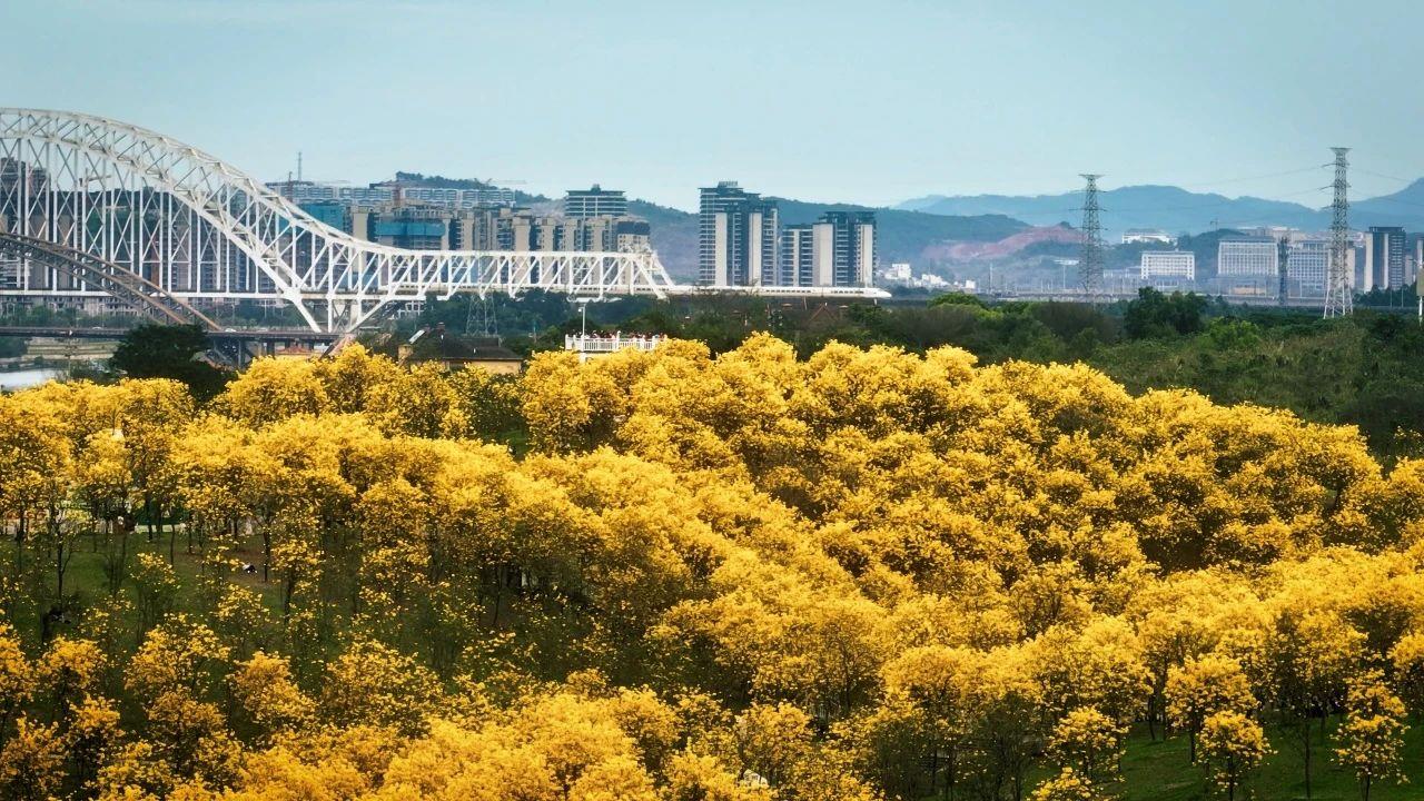 春意漸濃，這條高鐵沿線的寶藏城市“藏不住”了！