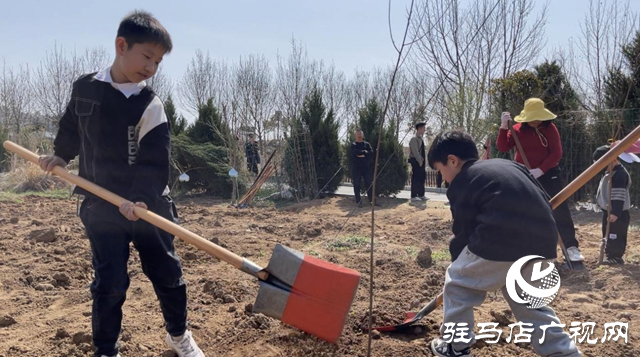 駐馬店廣播電視臺(tái)廣播事業(yè)管理中心：開展第七屆公益植樹活動(dòng) 助力鄉(xiāng)村綠色發(fā)展