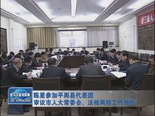 陳星參加平輿代表團(tuán)審議市人大常委會、法檢兩院工作報